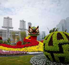 上海《奔腾》国庆五色草立体花坛造型，传递社会正能量