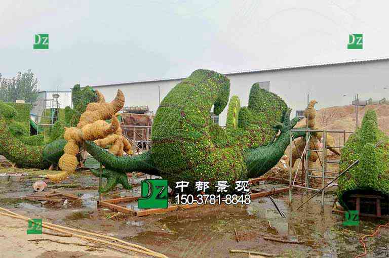五色草造型