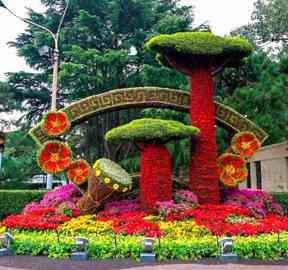 立体花坛五色草种苗基地批发辐射全国
