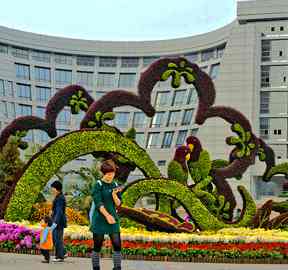 “从模纹花坛到立体花坛”——立体花坛的前世今生