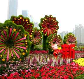 五色草立体花坛设计施工厂家解读适合做立体花坛的植物品种